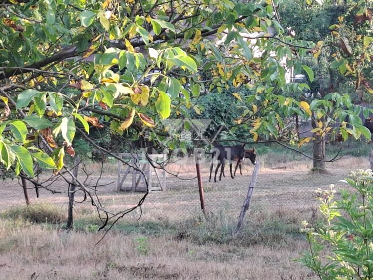 Teren spectaculos cu padure, livada si priveliste panoramica in Soimari PH - 6