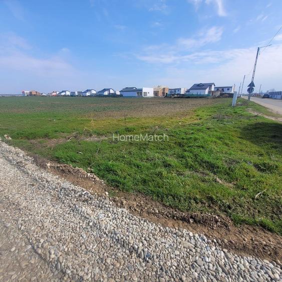 0% Comision - VanzareTeren Domnesti - 5