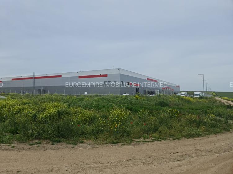 Teren de vanzare Lazu zona Logistic Park - 11