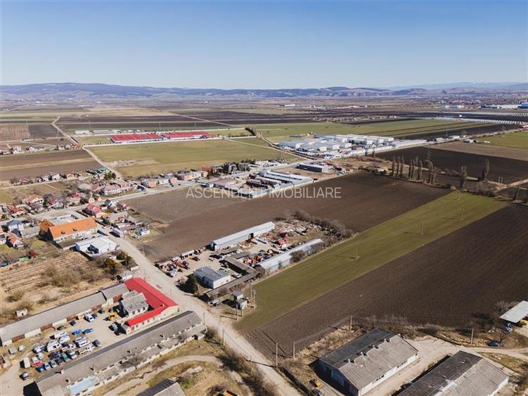 FILM! 30.000mp teren intravilan, Central, Halchiu, Brasov - 6