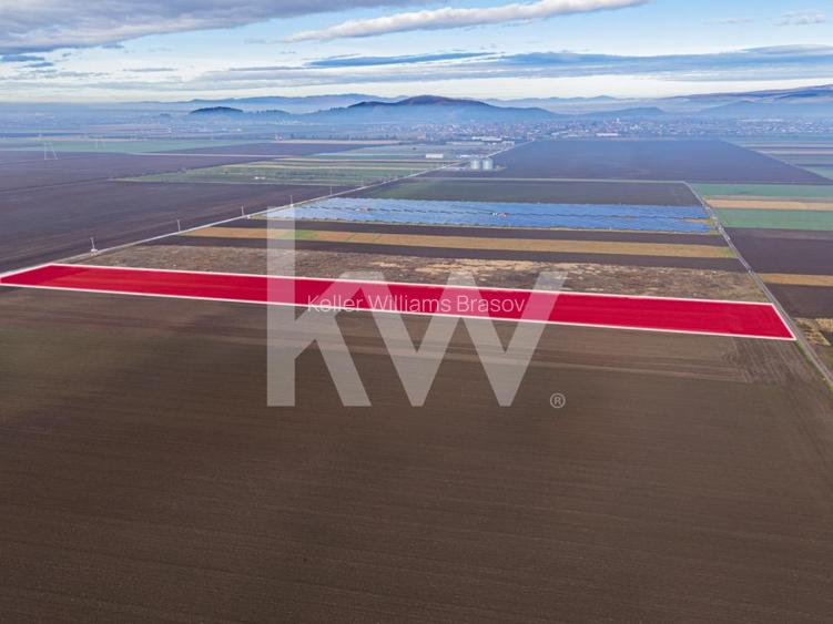 Teren exceptional pentru investitii industriale langa Brasov - 3