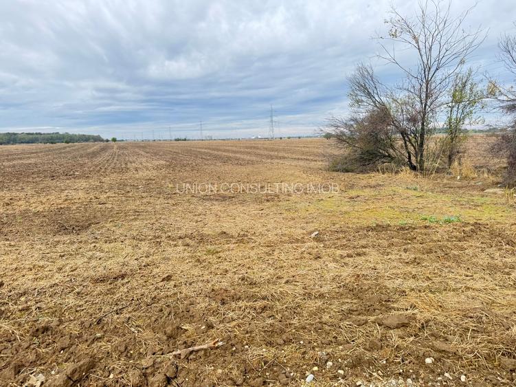 MAGURELE iF LOCALITATEA PRUNI ,LOTURI DE VANZARE - 3