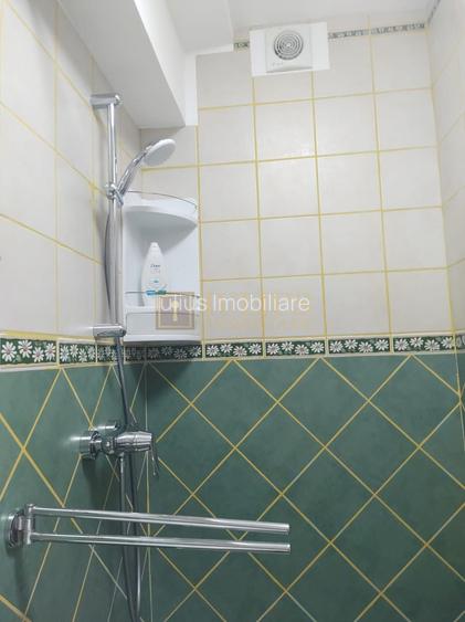 Studio 1C, Zona Lipovei, centrala proprie, disponibil imediat, contract anaf - 4