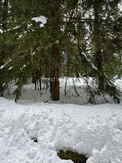 Teren intravilan cu panorama - statiunea Muntele Baisorii - 2