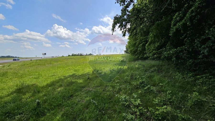 Teren Ilisesti  7000mp extravilan/ DN 17, Suceava - 13