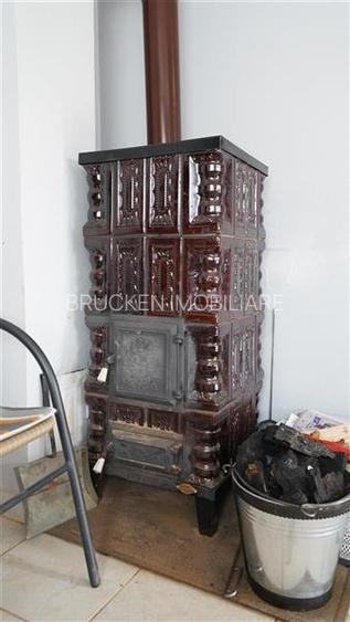 MICRO-FERMA + CASA IN VOIVOZI - BIHOR - 18