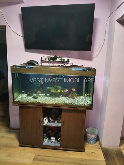 Casa in cartierul Nufarul - 4