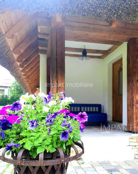 Casa traditionala de vis, aproape de Cluj-Napoca - 19