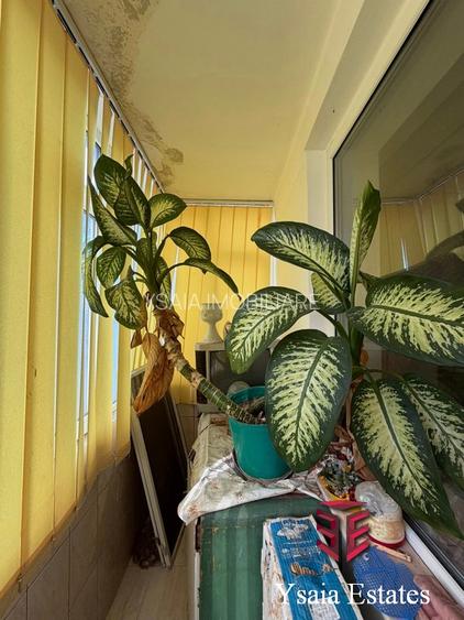 YSAIA IMOBILIARE - 2 CAMERE DE VANZARE - ZONA ABATOR - - 13