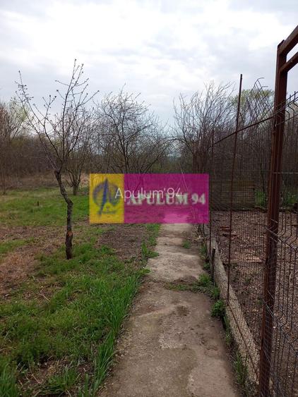 GIURGIU - COM. BUCSANI (SAT OBEDENI) CASA 2 CAM DE VANZARE - 16