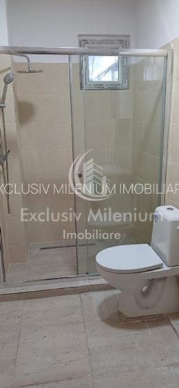 Romana - Lahovari - Dionisie Lupu Nemobilat - 8