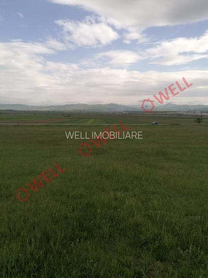 Teren intravilan de vânzare în Moacșa (Eresteghin)! - 3