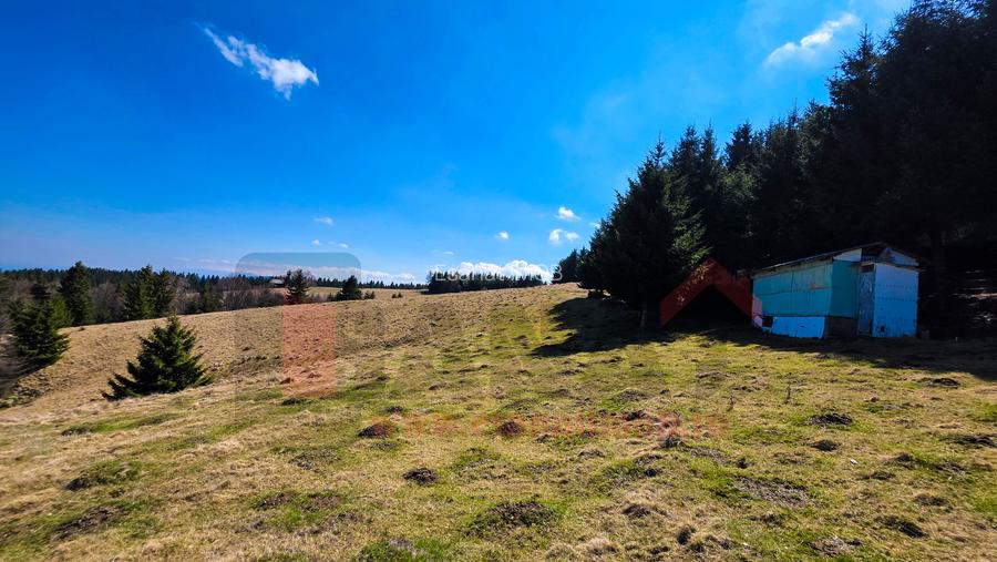 Proprietar | Teren Panoramic+PUZ + Cabana | Drumul Paltinisului |746mp - 13