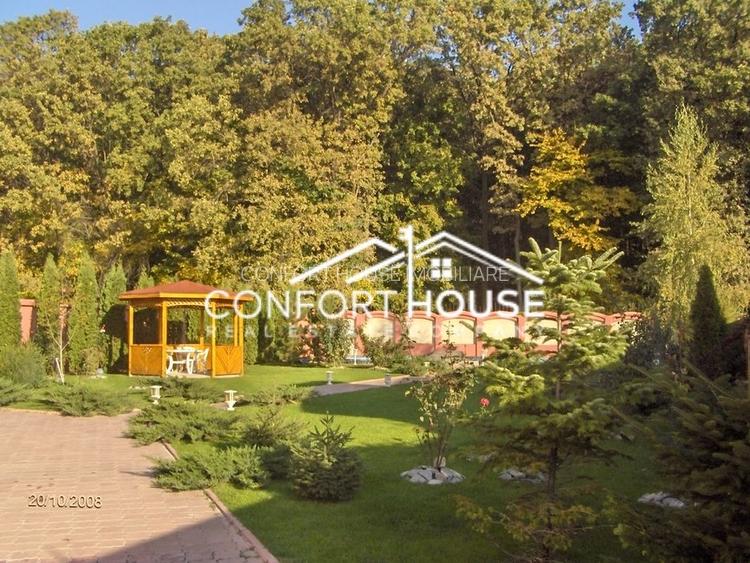 VILA D+P+E+M, 12 camere, piscina , padure, IANCU NICOLAE - 14