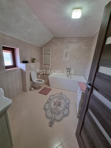 Casa de vanzare spre Vetis, drum principal - 19