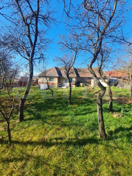 Casa renovabila, 56,7 mp utili, 2500 mp de teren, loc. Rediu, Com. Aiton - 4