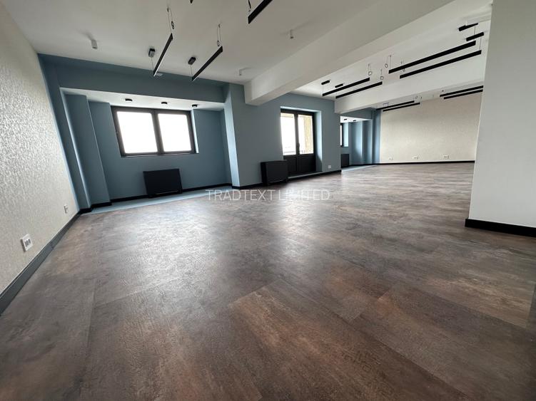 Victoriei Business Center - prima închiriere ! - 2