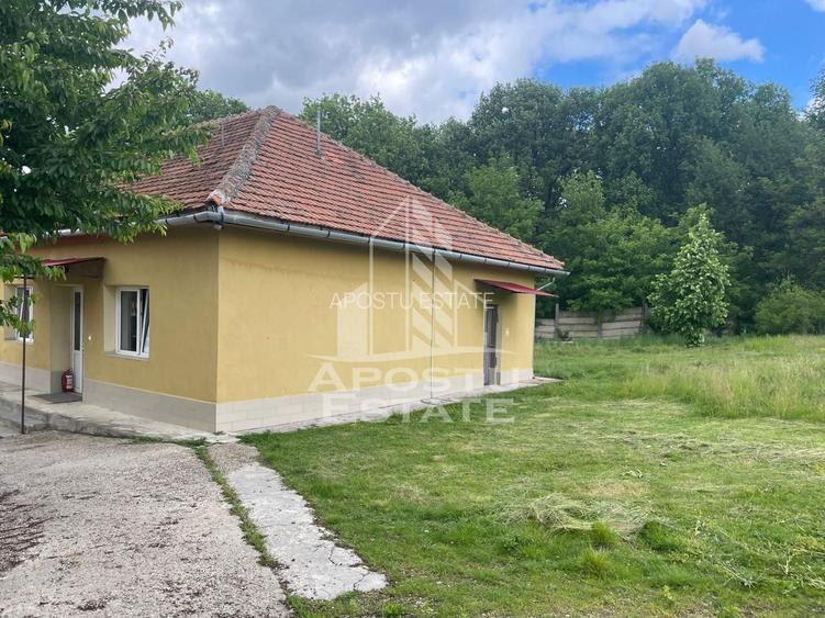 Spatii productie si depozitare, zona Sebis - Prunisor-Carand - 17