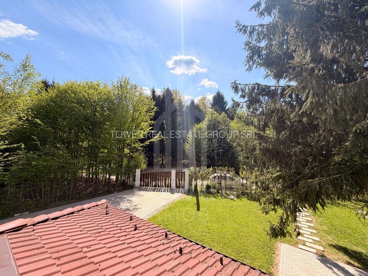 Casă de vacanță noua-Valea Avrigului - 26