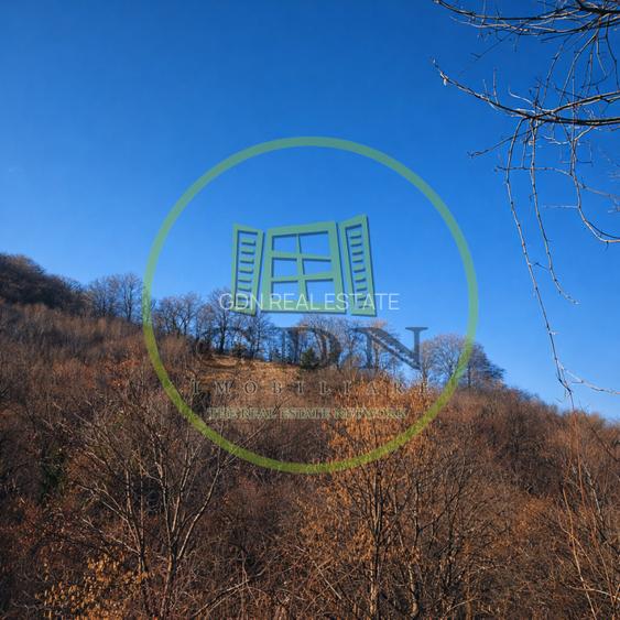 Pădure de vânzare în Scheii Brașovului 2 hectare de natură Brașov Schei - 3