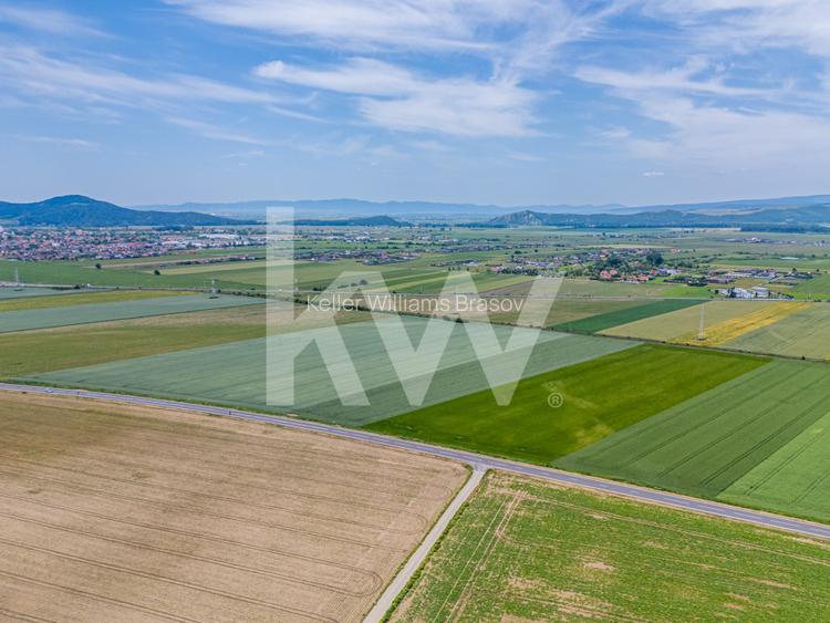 Teren de vanzare I 8 Euro/ mp I Deschidere la drum - Harman - 10