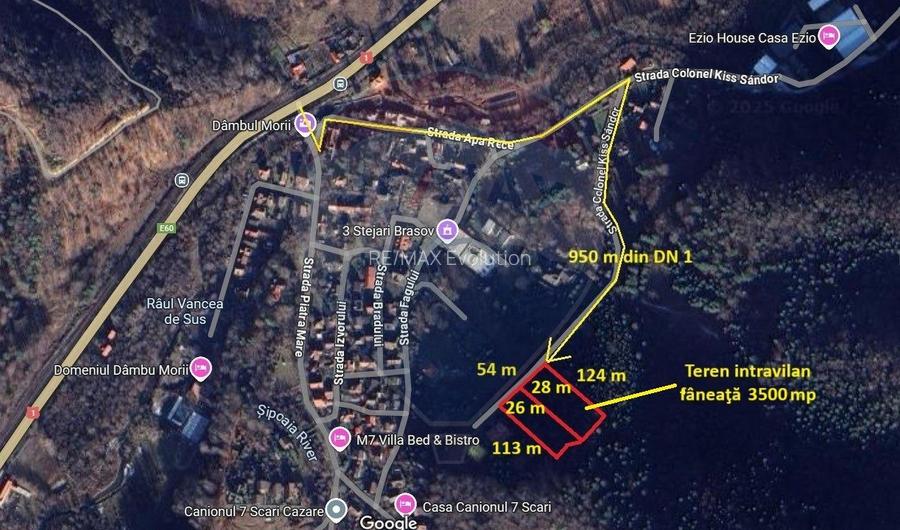 TTeren intravilan, 3500 mp, Dâmbu Morii - 6