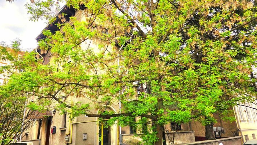 Apartament 3 camere in vila, plus garsoniera demisol si curte langa Parcul Heras - 4