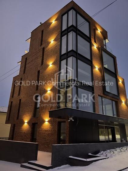 Spatiu de Birouri/Cladire de Birouri-Zona Europa-Garaj/Parcari/Curte - 12