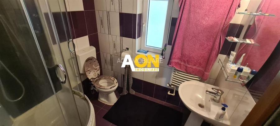 Casa 150 mp Teren 1715 mp Ampoita - 13