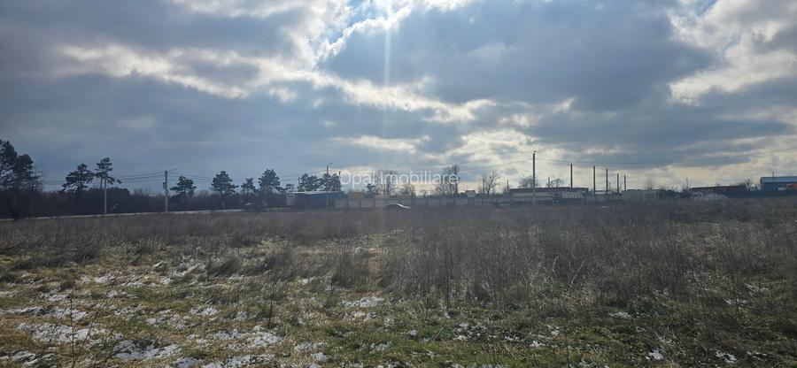 Exclusivitate,Agigea-Penny Market, teren 49284mp, intravilan, 124m desc.la DN 38 - 5