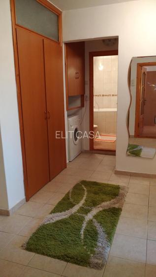 Apartament cu 2 camere, decomandat, zona Nicolina-Belvedere - 4