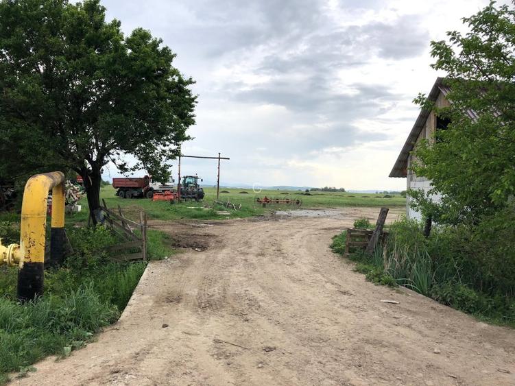 Vanzare teren intravilan  7.100mp complexul Magnolia, direct de la proprietar! - 5