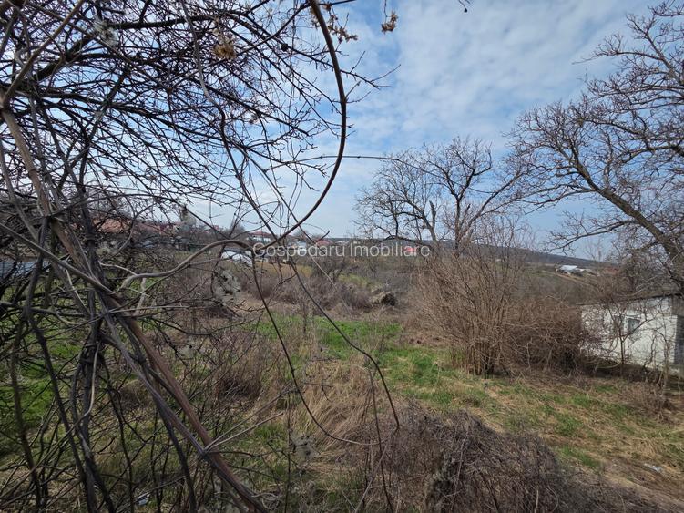 Teren intravilan sat Copacesti com Ruginesti - 5