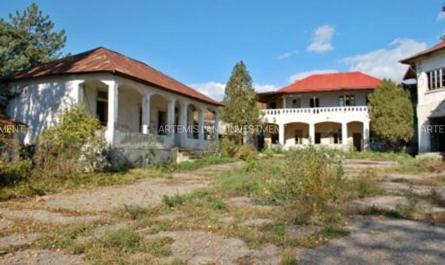 Gussi-Lahovary Mansion, Leordeni Arges-Private 5.6 hectare estate - 4