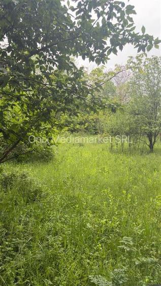 Teren Intravilan de Vânzare Cornu, Prahova | 50 €/mp - 5