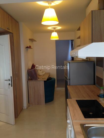 Modern 1 - Bedroom Apartament with Rooftop Access | Central Location - 11