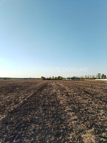 Ciolpani, spre Izvorani - COR, vanzare teren 5000mp. - 8