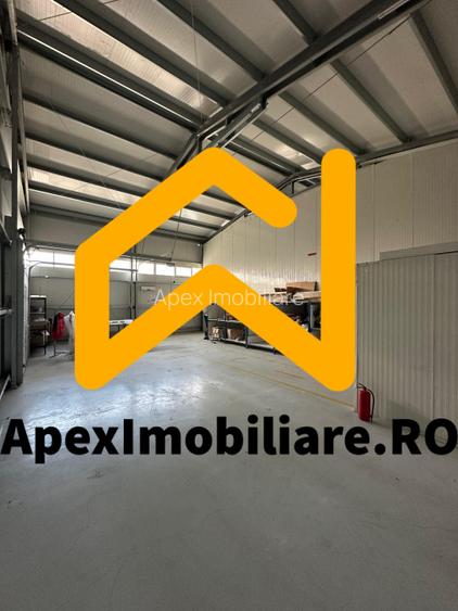 Hala Industrială Vest Ploiești 550 mp + Birouri | Parcare 20 auto | Acces TIR | - 19