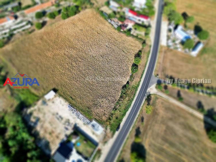 AZURA Imobiliare - Teren la DN7 langa Gaesti, Crangurile - Badulesti - 9
