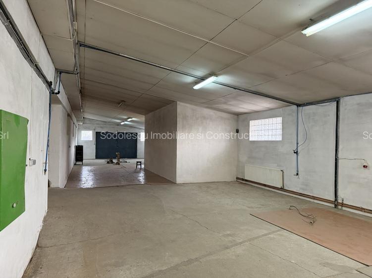 Hală industrială cu poziționare strategică în Giarmata - 13