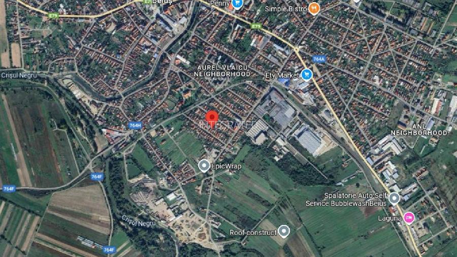 BEIUS, AUREL VLAICU CASA P+M, 200 MP SI TEREN 250 MP. - 2