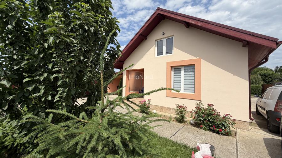 Tunari casă în Dimieni – 3 camere, curte amenajată, grădină cu seră, parcare - 5