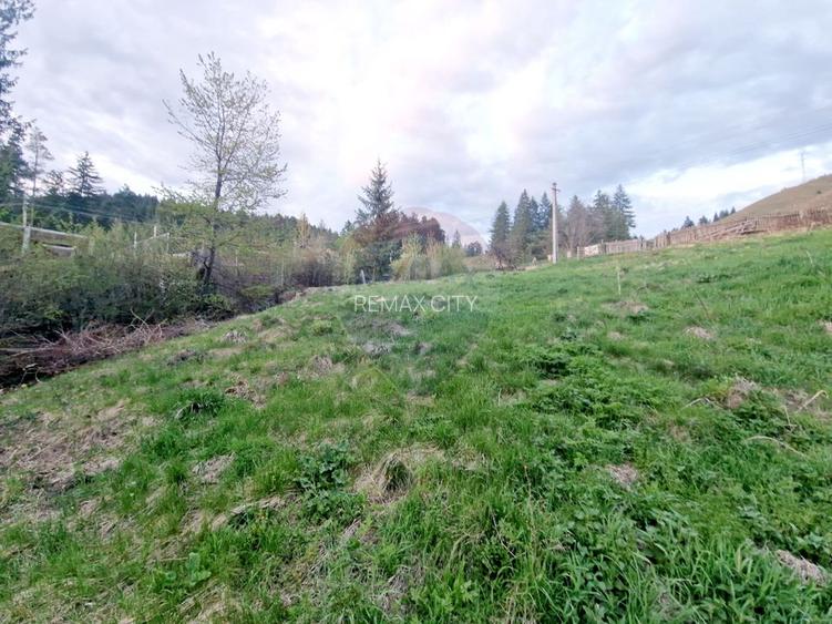 Teren cu vedere la Muntele Ceahlau - 3