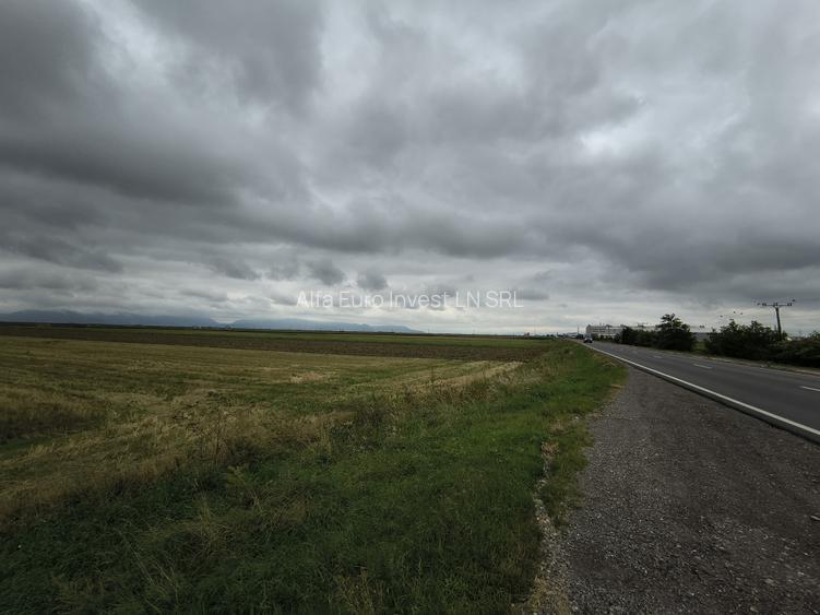 Teren intrare Prejmer - 4