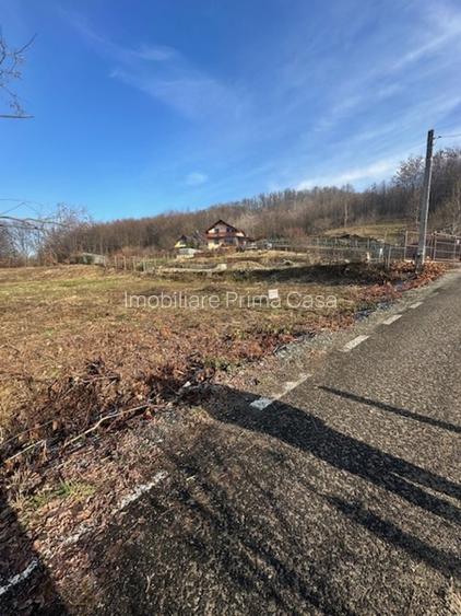 TAUTII MAGHERAUS strada 74 teren intravilan de aprox 36ari ! - 4