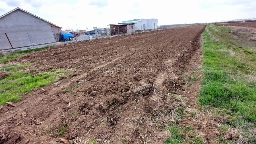 Teren constructii com Corbeanca - 3