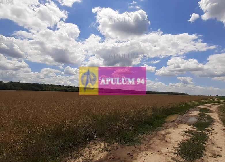 Teren 715mp în Snagov lângă Equestria - 42