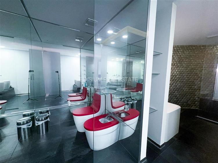 Apartament cu 4 camere de inchiriat Cortina Residence Herastrau - 28