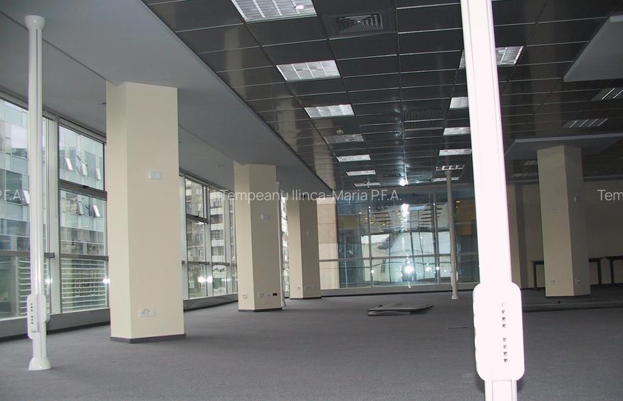 PIATA VICTORIEI - Titulescu spatiu birouri etaj 1 lux 255 mp - 4