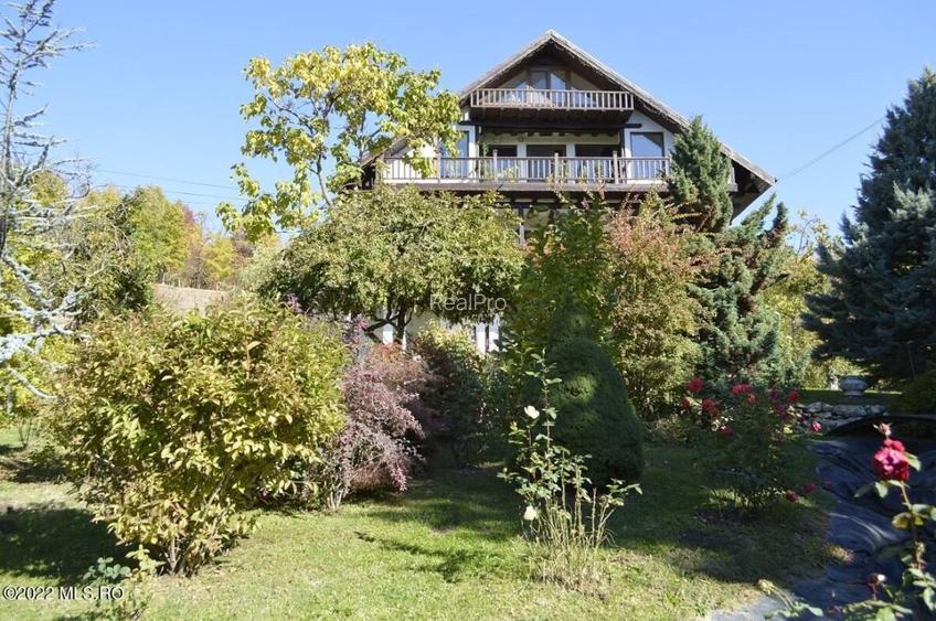 Topoloveni - Conacul Ion Mihalache, Domeniu pe 5 Hectare! - 49